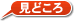 見どころ